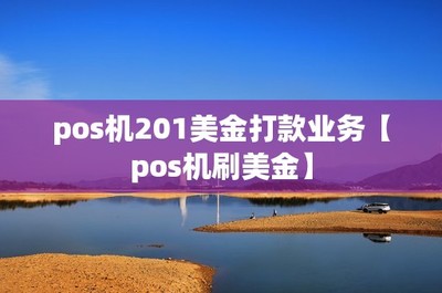 pos機201美金打款業(yè)務(wù)【pos機刷美金】